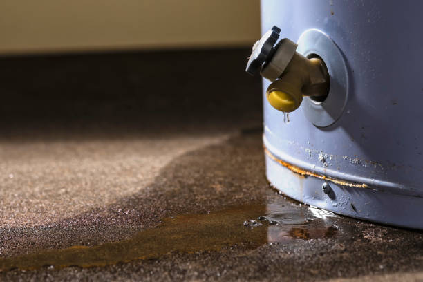 Best Water damage restoration near me  in Merton, WI