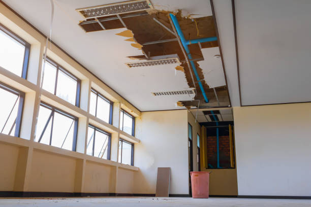 Best Local water damage restoration  in Merton, WI