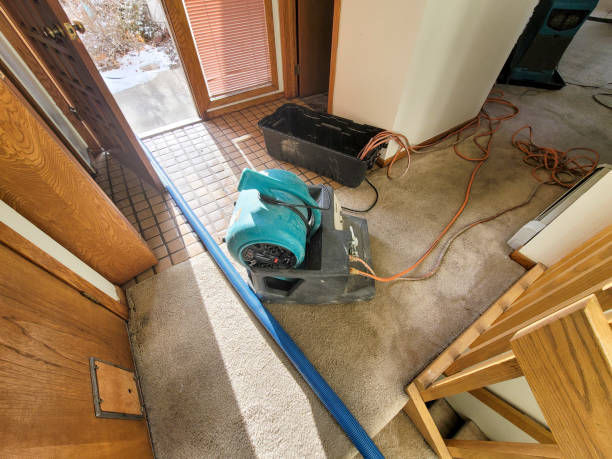 Best 24-hour water damage restoration  in Merton, WI