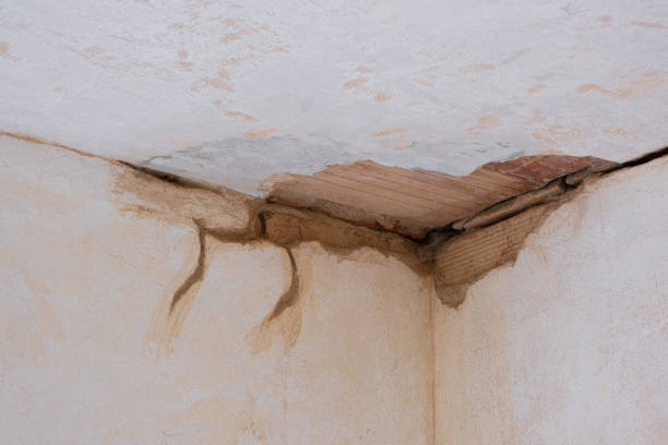 Best 24/7 water damage repair  in Merton, WI