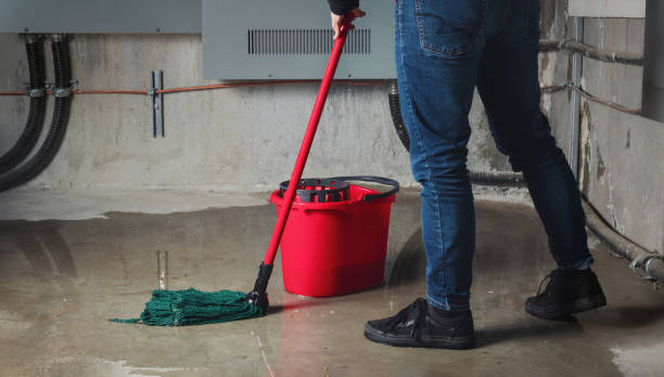 Best Water damage contractors near me  in Merton, WI