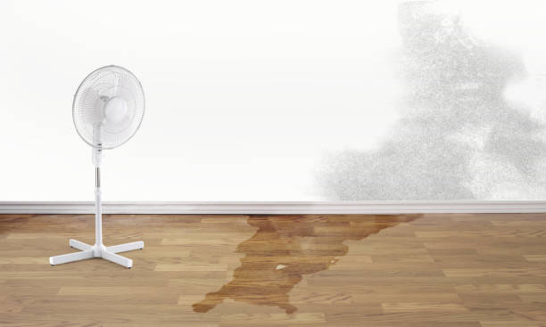 Best Water damage restoration company  in Merton, WI