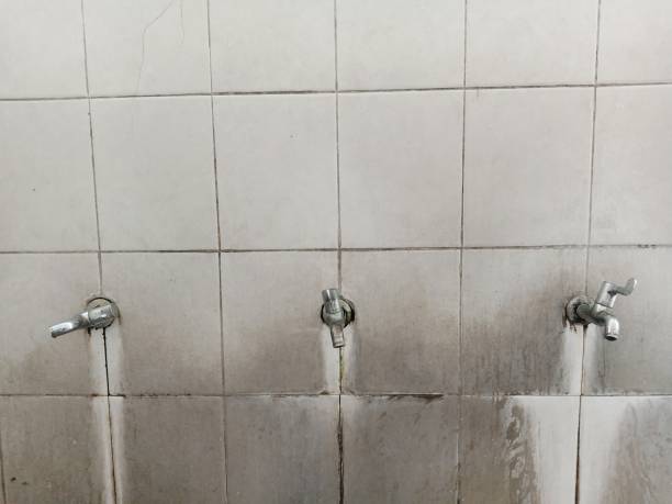 Best Mold removal after water damage  in Merton, WI