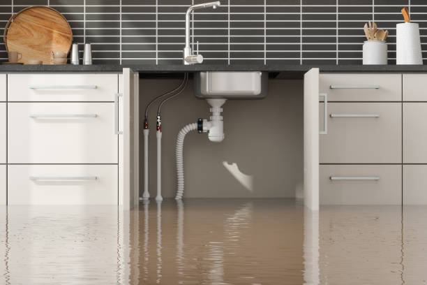 Best Water damage restoration near me  in Merton, WI