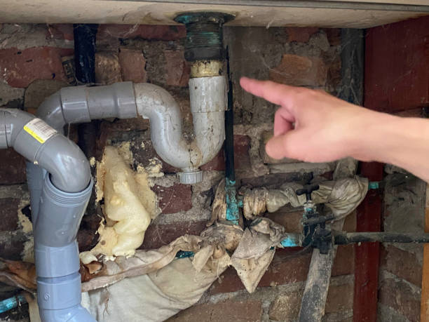 Best Fire Damage Restoration  in Merton, WI