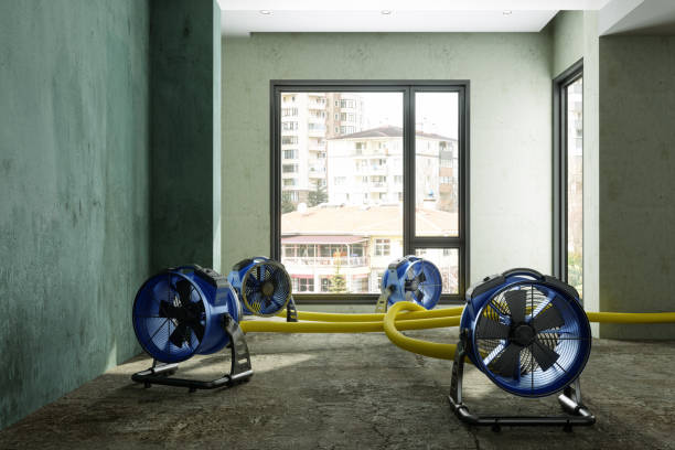 Best Water damage cleanup near me  in Merton, WI